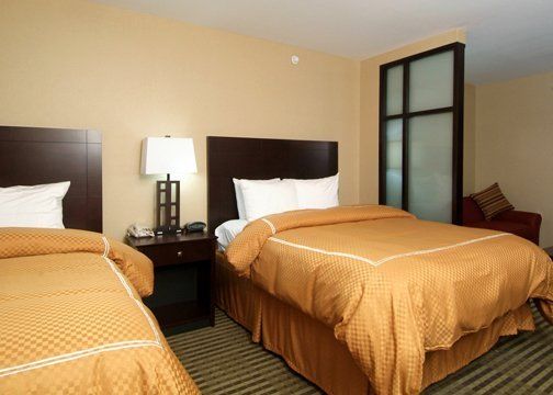 Holiday Inn Express & Suites Elkton - University Area, An Ihg Hotel Phòng bức ảnh